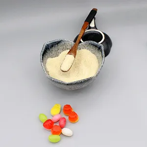Halal Bovine Skin/ Bone Gelatin for Empty Capsules 160 Bloom